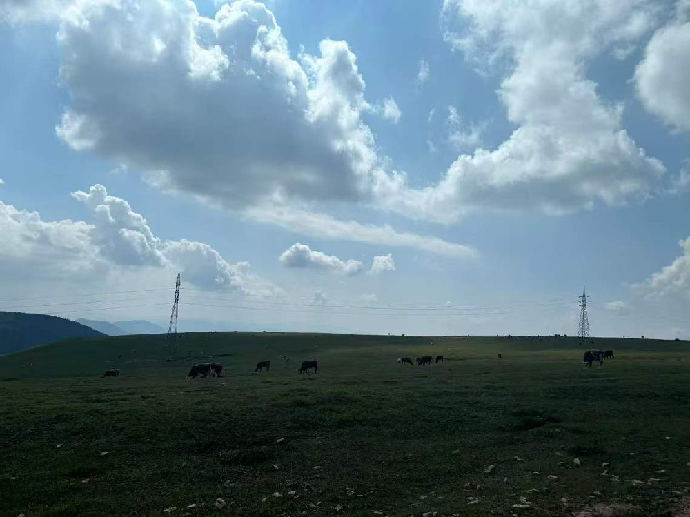 風舞綠色能源，守護風電之翼：風電設備刷新維護的醇酸防銹磁漆優選